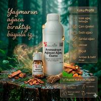 AĞLAYAN AĞAÇ ESANS VERİCİ